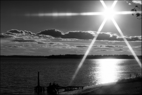 Sun-Star---BW.jpg