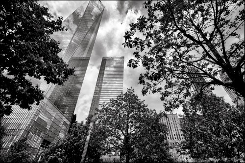 The-Concrete-Jungle---bw.jpg