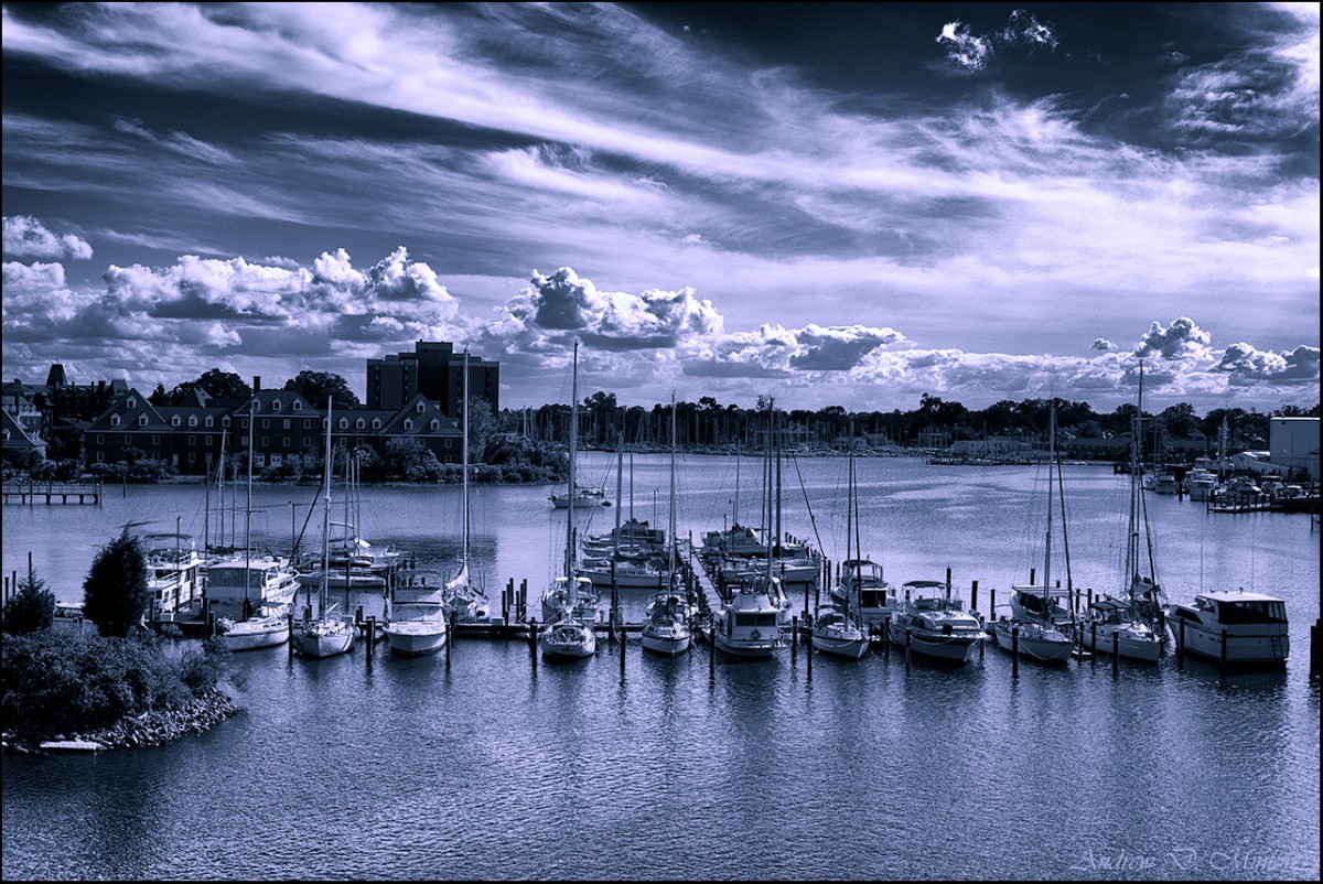 Hampton-Boat-Harbor.jpg