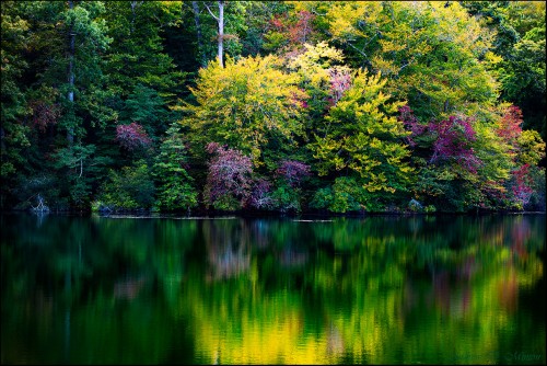 Fall-In-Color.jpg